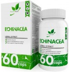 Echinacea